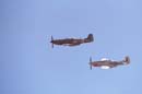 AS01-228 - Mustangs