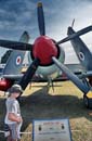 AS88-007 - Hawker Sea Fury