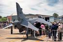 AS88-065 - Harrier