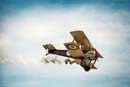 AS88-070 - Sopwith Pup