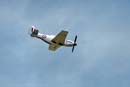 AS88-086 - Mustang