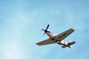 AS88-096 - Mustang