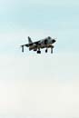 AS88-099 - Harrier