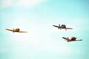 AS88-109 - T6, Winjeel & T28