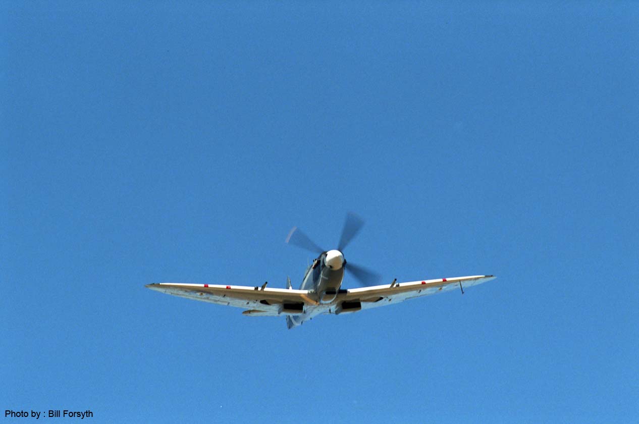 SR94-BF-781