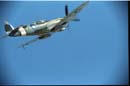 SR94-BF-430