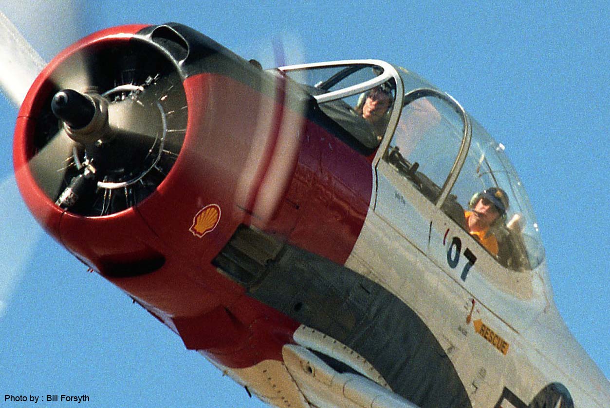 SR94-BF-259-a - Judy Pay close-up