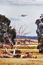 SR94-195 - Stephen Death, T28D Trojan