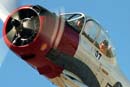 SR94-BF-259-a - Judy Pay close-up