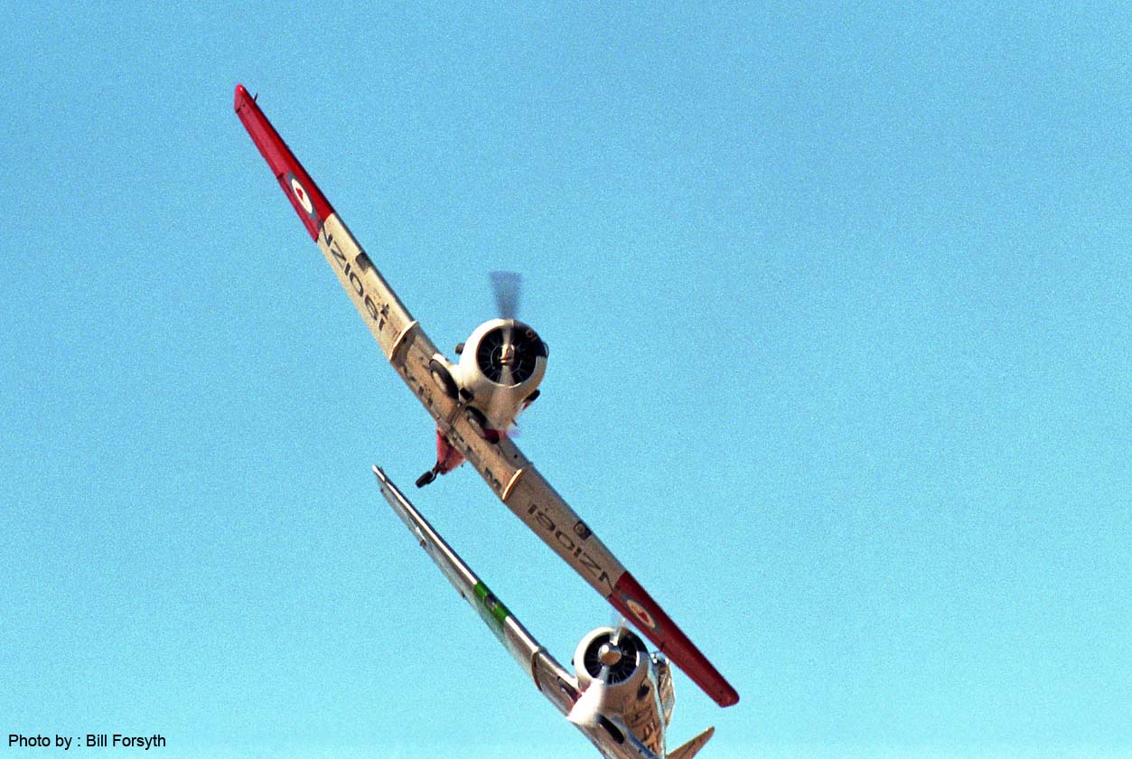 SR94-BF-772 - David Salter, NA AT6 Harvard