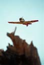 SR94-146 - David Salter, NA AT6 Harvard