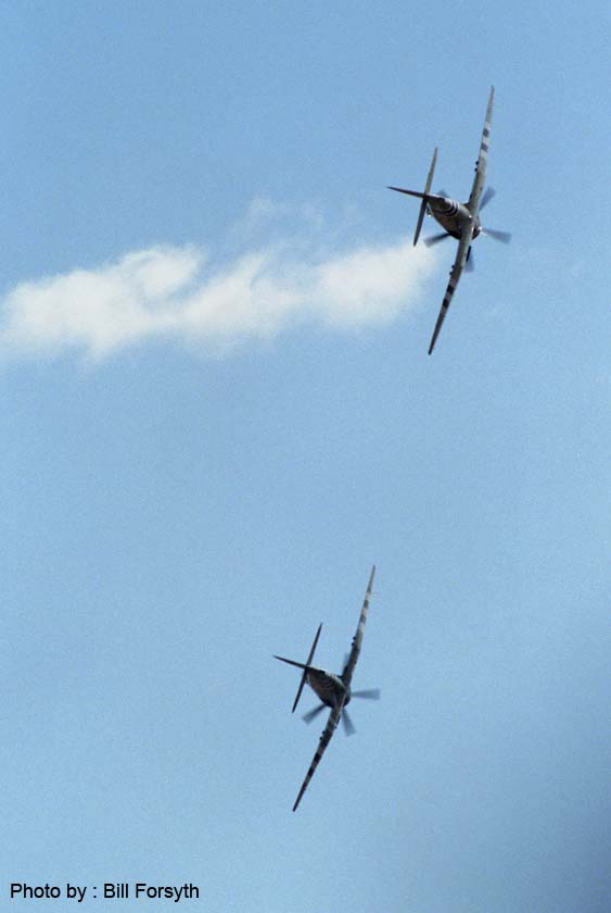 SR94-BF-365 - Zuccoli & Booth, Sea Furies