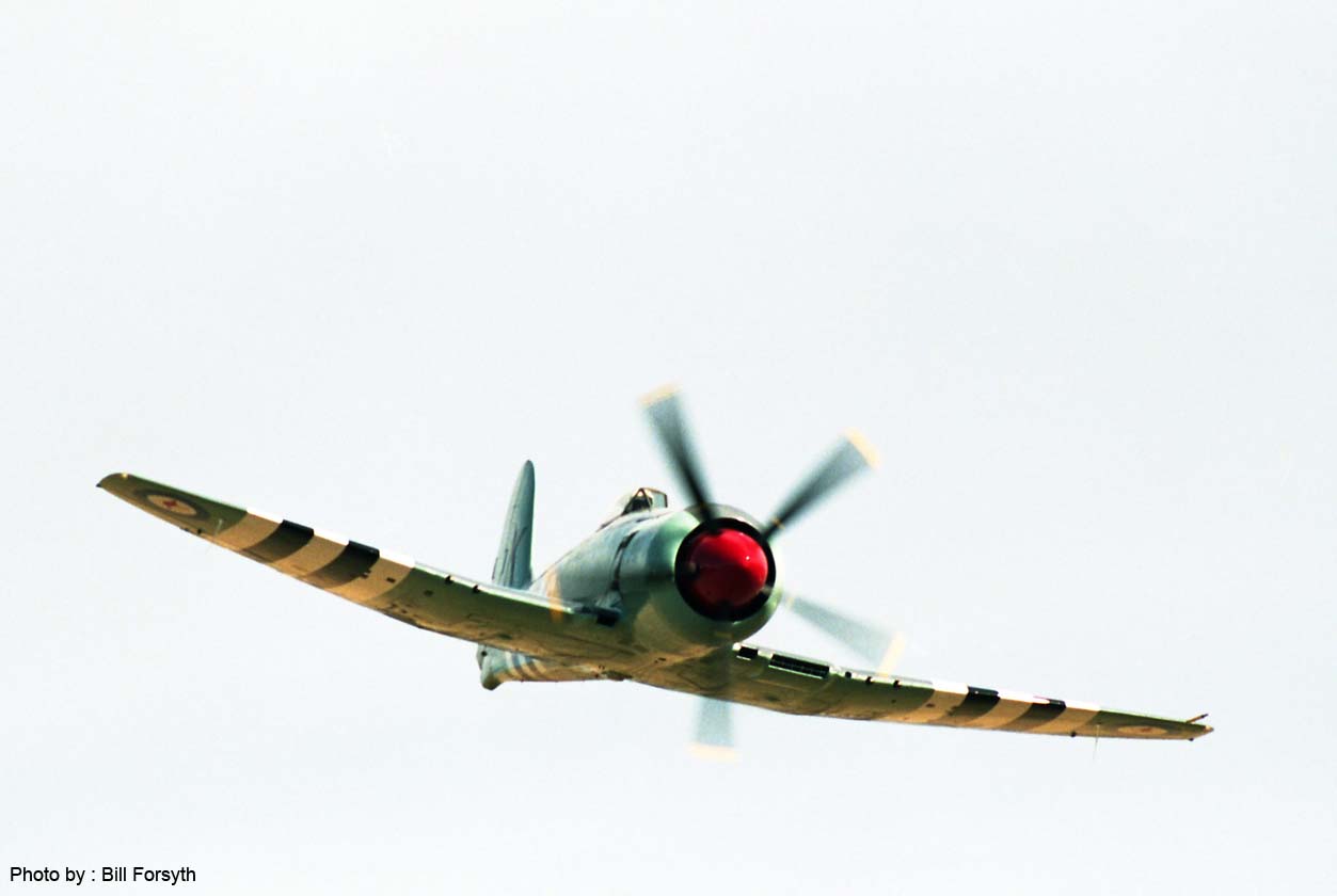 SR94-BF-584 - Guido Zuccoli, Hawker Sea Fury