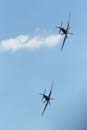 SR94-BF-365 - Zuccoli & Booth, Sea Furies